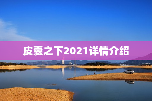 皮囊之下2021详情介绍