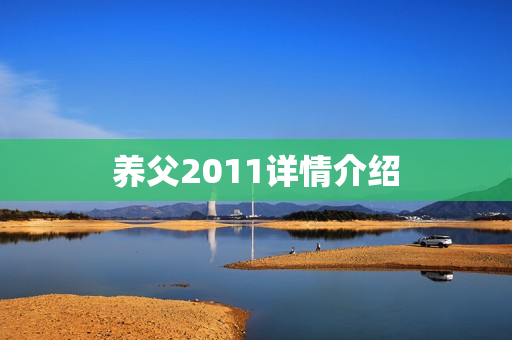 养父2011详情介绍 养父2011详情介绍