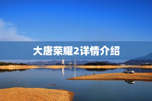 大唐荣耀2详情介绍