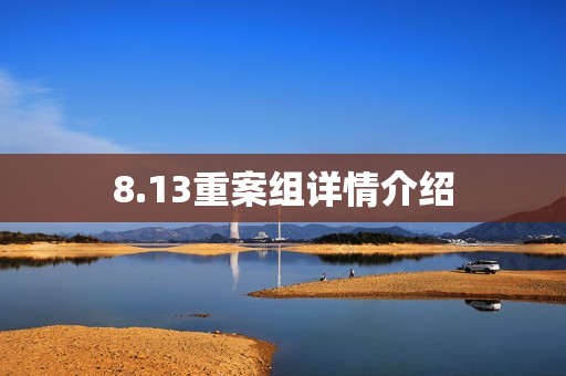 8.13重案组详情介绍