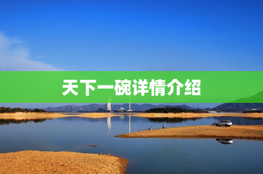 天下一碗详情介绍