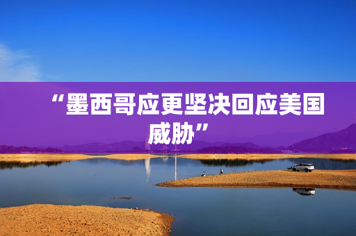 “墨西哥应更坚决回应美国威胁”