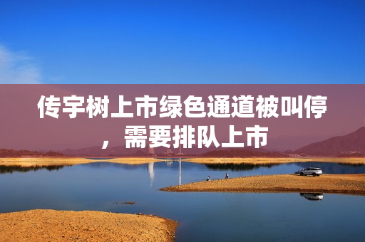 传宇树上市绿色通道被叫停，需要排队上市