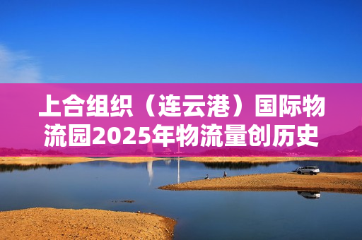 上合组织(连云港)国际物流园2025年物流量创历史新高 上合组织(连云港)国际物流园2025年物流量创历史新高