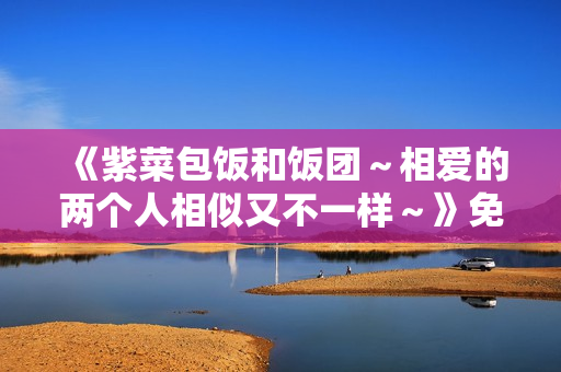 《紫菜包饭和饭团～相爱的两个人相似又不一样～》免费在线观看高清完整版