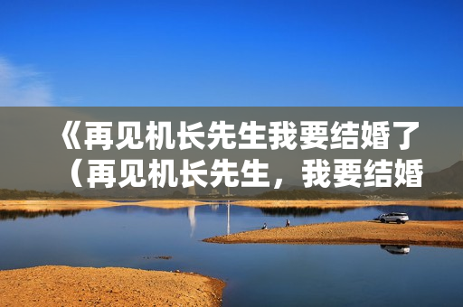 《再见机长先生我要结婚了（再见机长先生，我要结婚了）》免费在线观看高清完整版
