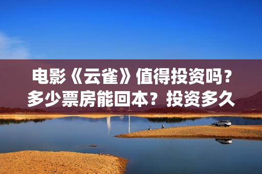 电影《云雀》值得投资吗？多少票房能回本？投资多久有收益？(电影《云雀》值得看吗)