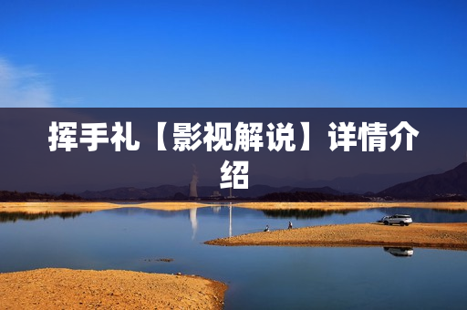 挥手礼【影视解说】详情介绍