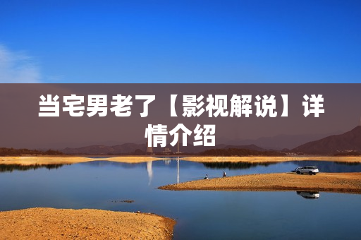 当宅男老了【影视解说】详情介绍