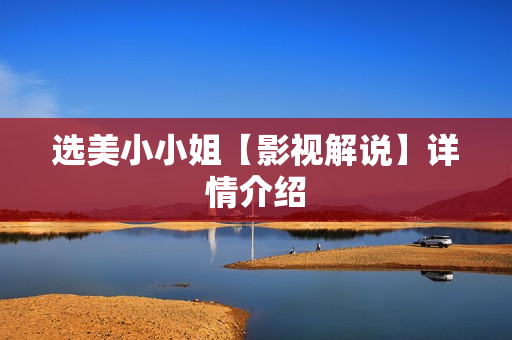 选美小小姐【影视解说】详情介绍