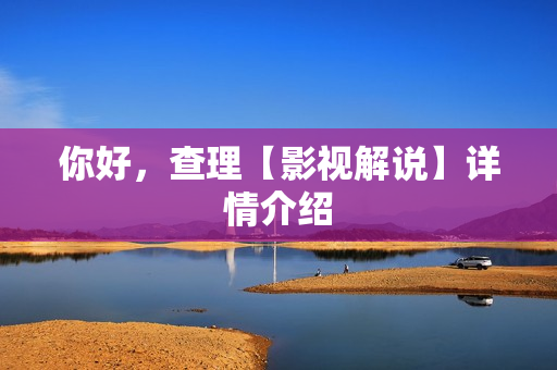 你好，查理【影视解说】详情介绍