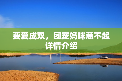 要爱成双，团宠妈咪惹不起详情介绍