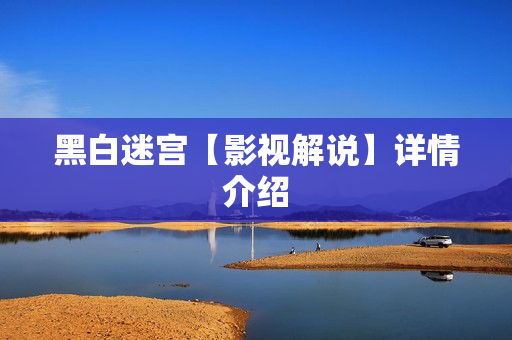 黑白迷宫【影视解说】详情介绍