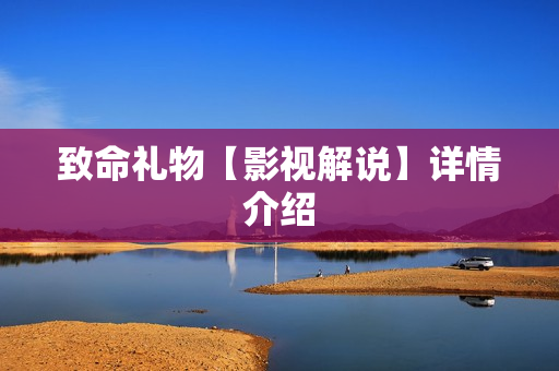 致命礼物【影视解说】详情介绍