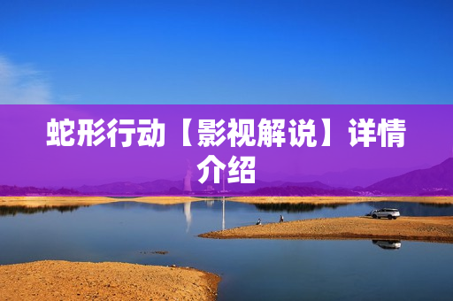 蛇形行动【影视解说】详情介绍