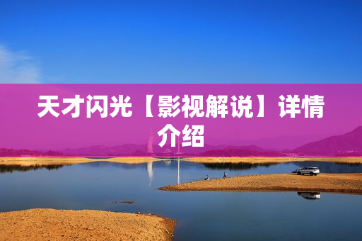 天才闪光【影视解说】详情介绍