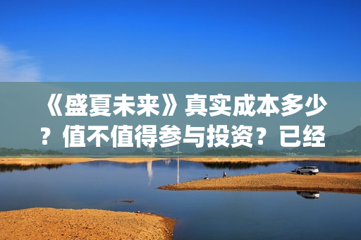 《盛夏未来》真实成本多少？值不值得参与投资？已经定档了吗？(盛夏未来zy)