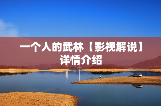 一个人的武林【影视解说】详情介绍