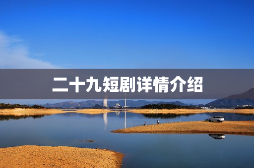 二十九短剧详情介绍