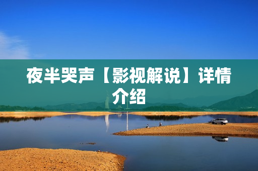 夜半哭声【影视解说】详情介绍