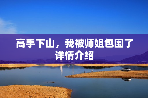 高手下山，我被师姐包围了详情介绍