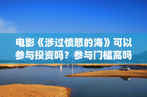 电影《涉过愤怒的海》可以参与投资吗？参与门槛高吗？(涉过愤怒的海小说在线阅读)