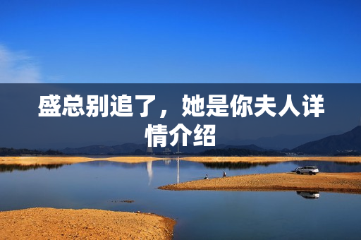 盛总别追了，她是你夫人详情介绍