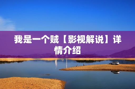 我是一个贼【影视解说】详情介绍