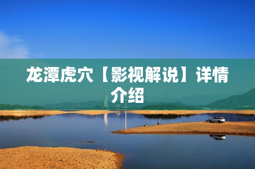 龙潭虎穴【影视解说】详情介绍