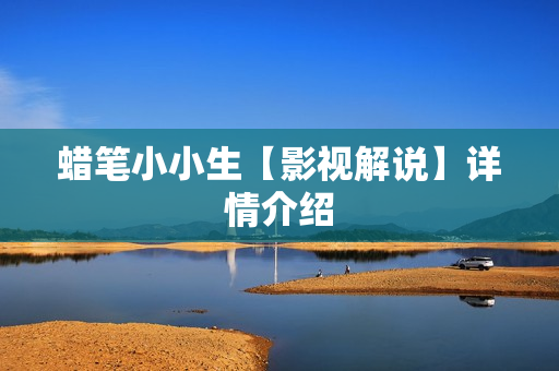 蜡笔小小生【影视解说】详情介绍