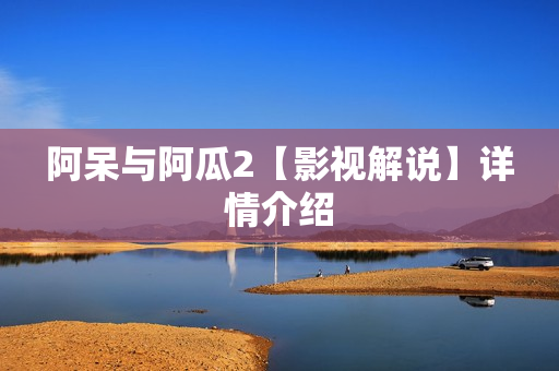 阿呆与阿瓜2【影视解说】详情介绍