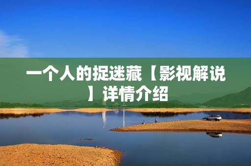 一个人的捉迷藏【影视解说】详情介绍