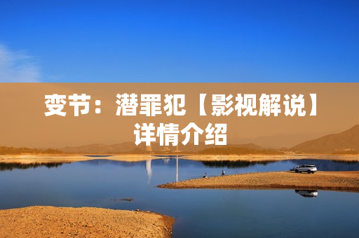 变节：潜罪犯【影视解说】详情介绍