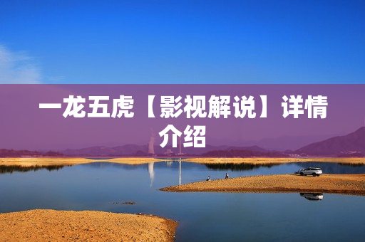 一龙五虎【影视解说】详情介绍