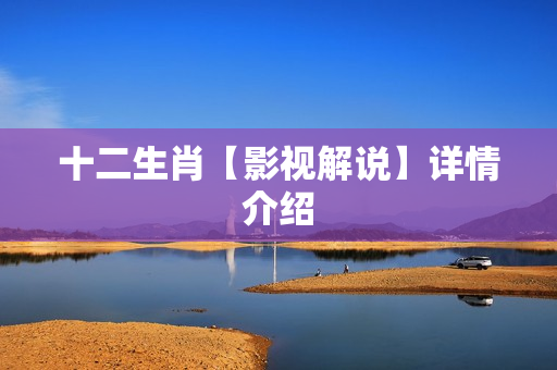 十二生肖【影视解说】详情介绍