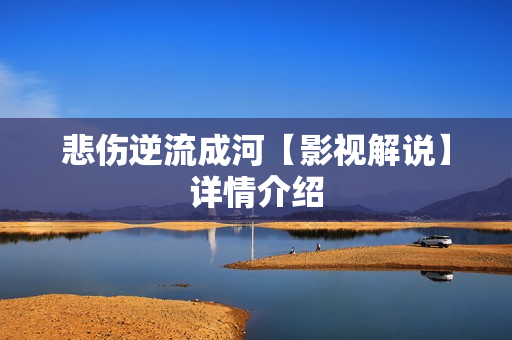 悲伤逆流成河【影视解说】详情介绍