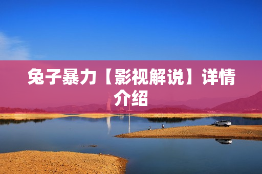 兔子暴力【影视解说】详情介绍