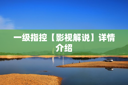 一级指控【影视解说】详情介绍