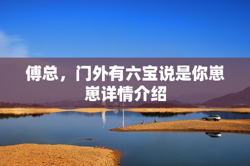 傅总，门外有六宝说是你崽崽详情介绍