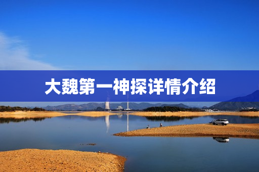 大魏第一神探详情介绍