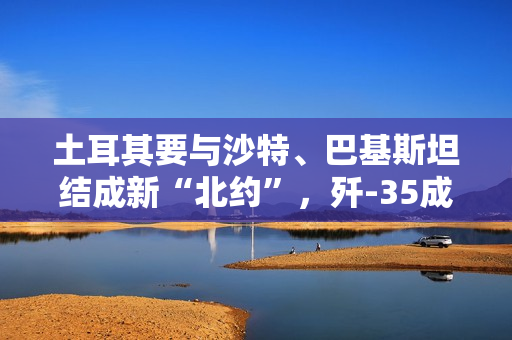 土耳其要与沙特、巴基斯坦结成新“北约”,歼-35成终极砝码? 土耳其要与沙特、巴基斯坦结成新“北约”,歼-35成终极砝码?