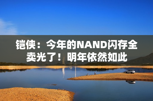 铠侠：今年的NAND闪存全卖光了！明年依然如此