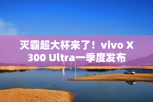 灭霸超大杯来了！vivo X300 Ultra一季度发布