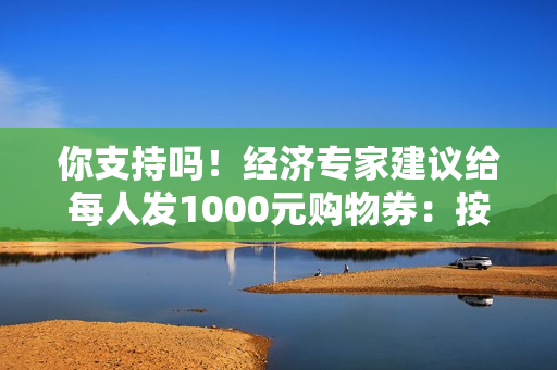 你支持吗！经济专家建议给每人发1000元购物券：按身份证发、没任何限制