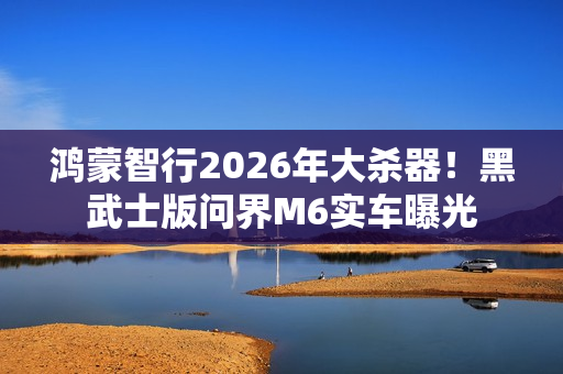 鸿蒙智行2026年大杀器！黑武士版问界M6实车曝光