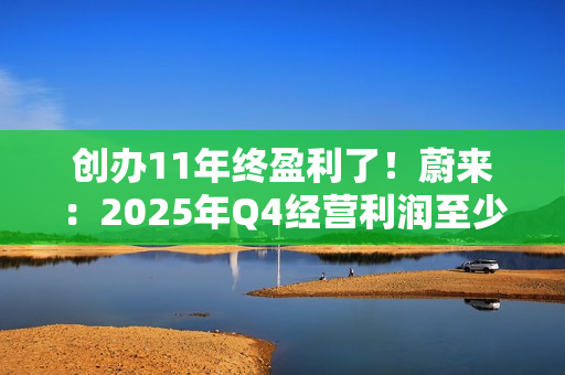 创办11年终盈利了！蔚来：2025年Q4经营利润至少7个亿