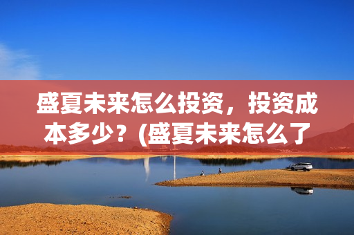 盛夏未来怎么投资,投资成本多少?(盛夏未来怎么了) 盛夏未来怎么投资,投资成本多少?(盛夏未来怎么了)