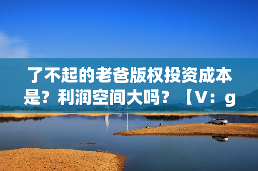 了不起的老爸版权投资成本是？利润空间大吗？【V：grey121415】(了不起的老爸ts版)