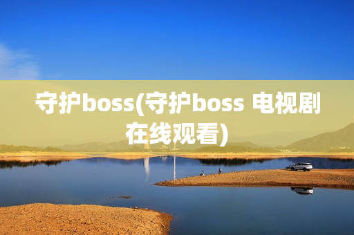 守护boss(守护boss 电视剧在线观看)