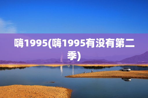嗨1995(嗨1995有没有第二季)
